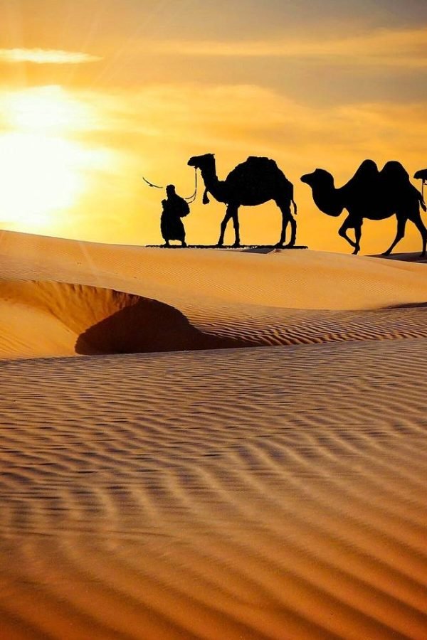 Photo by mohamed_hassan