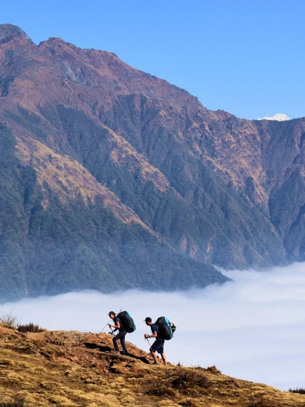 two person walking near mountain
